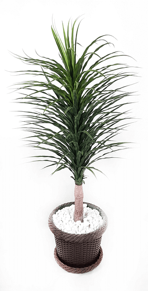 Planta yucca Artificial 150 CM