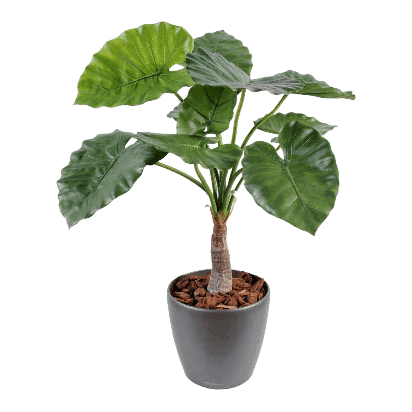 Planta Alocasia Artificial